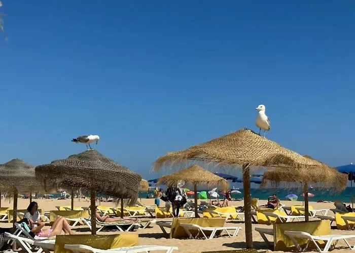 Appartamento Piscina, Garagem A 5 Min A Pe Da Da Rocha